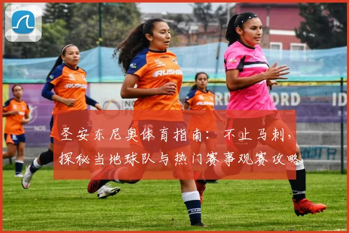 圣安东尼奥体育指南：不止马刺，探秘当地球队与热门赛事观赛攻略