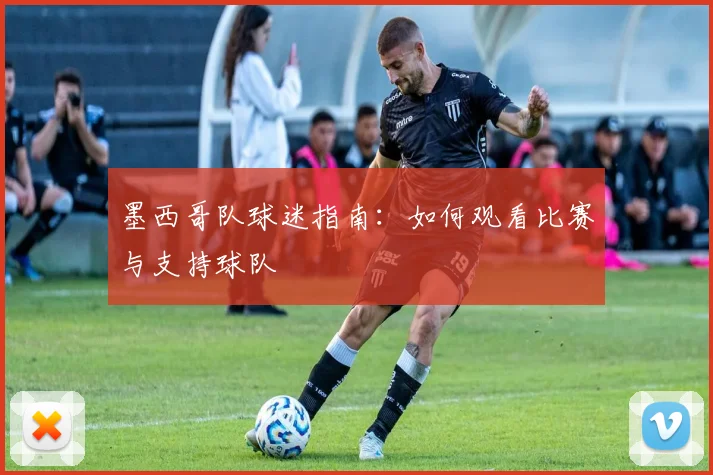 墨西哥队球迷指南：如何观看比赛与支持球队